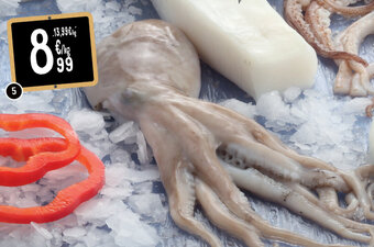 Cora Octopus aanbieding