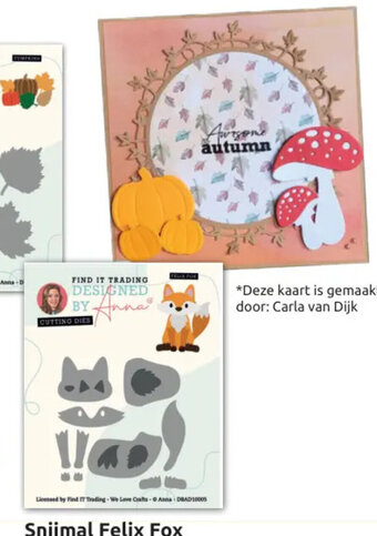 Boekenvoordeel Snijmal Felix Fox aanbieding
