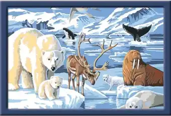 Ravensburger schilderen op nummer op het ijs - hobbypakket
