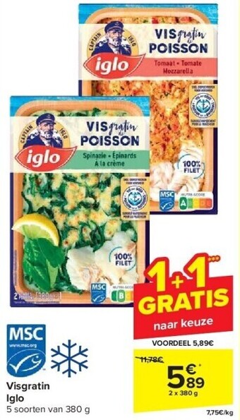 Carrefour Visgratin iglo aanbieding