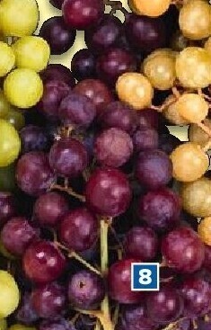 Carrefour Rode druiven aanbieding