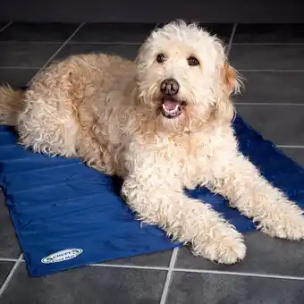 Scruffs koelmat hond - grijs - xl - 120 x 75 cm