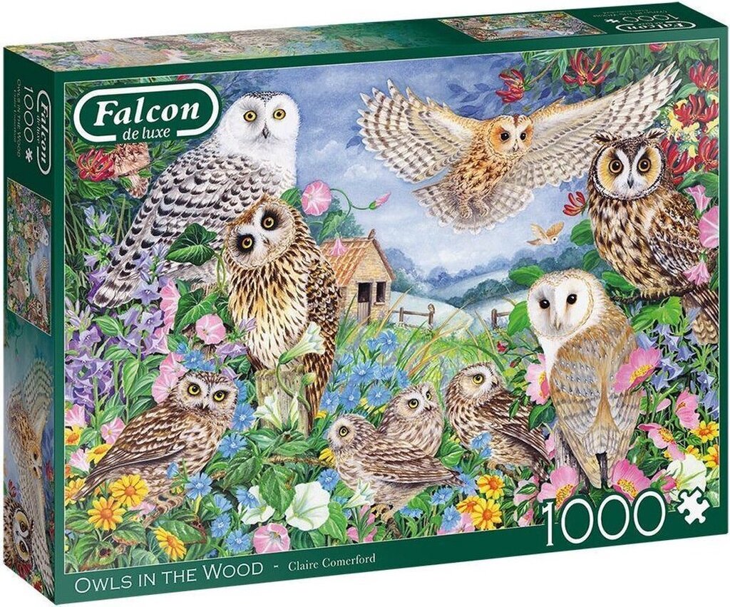 Bol.com Falcon puzzel owls in the wood - legpuzzel - 1000 stukjes aanbieding