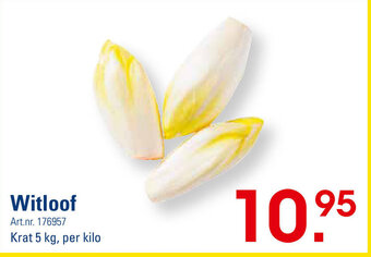 Sligro-M Witloof aanbieding