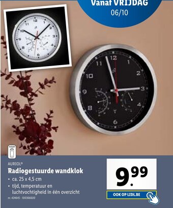 Radiogestuurde wandklok 25 x 4.5 cm