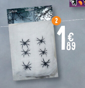 Wit spinnenweb met 6 spinnen