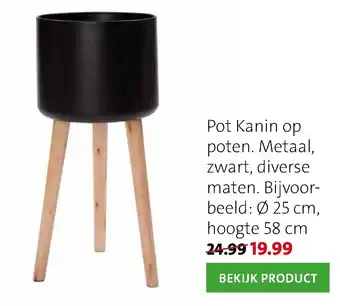 Intratuin Pot Kanin op poten. Metaal, zwart, diverse maten. aanbieding