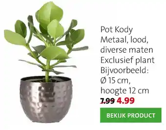 Pot Kody Metaal, lood, diverse maten Exclusief plant