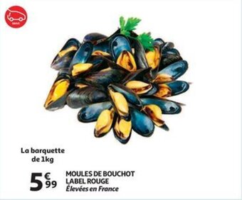MOULES DE BOUCHOT LABEL ROUGE La barquette de 1kg