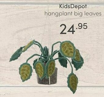 Baby & Tiener Kidsdepot hangplant big leaves aanbieding