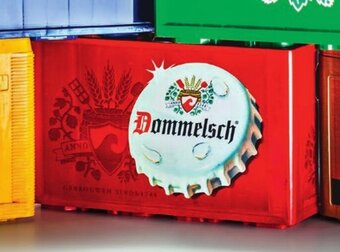 Sligro Dommelsch Pils 24 x 30 cl aanbieding