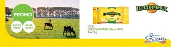 LEERDAMMER Mini's 45% 96 x 22g