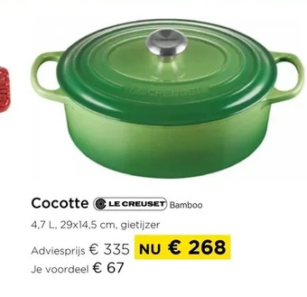 Cocotte