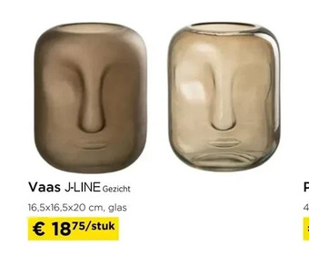 Molecule Vaas j-line aanbieding
