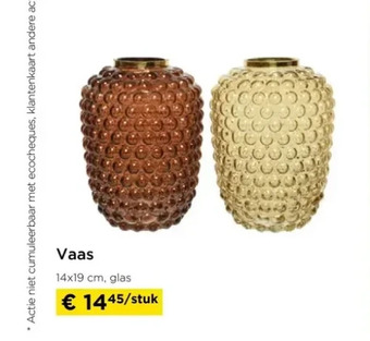 Molecule Vaas aanbieding