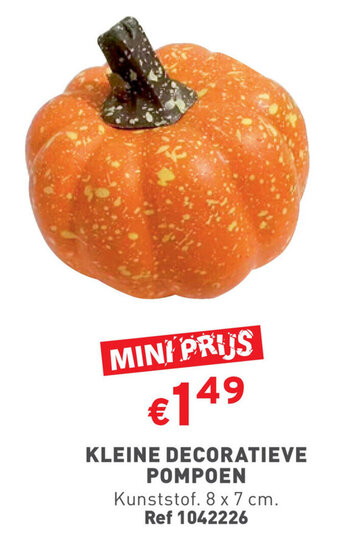 KLEINE DECORATIEVE POMPOEN 8 x 7 cm