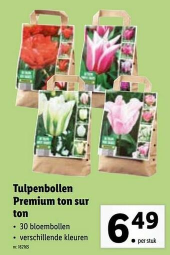 Lidl Tulpenbollen premium ton sur ton aanbieding