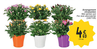 Cora Arrangement chrysanten 14 cm aanbieding