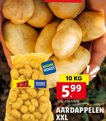 Lidl Aardappelen XXL 10kg aanbieding