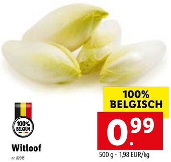 Lidl Witloof 500g aanbieding