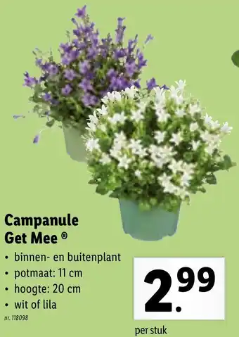 Campanule ge mee