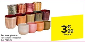 Carrefour Pot voor planten aanbieding