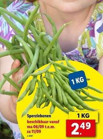 Lidl Sperziebonen aanbieding