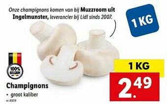Lidl Champignons aanbieding