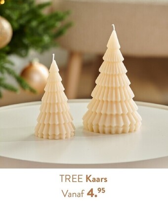 Casa Tree kaars aanbieding