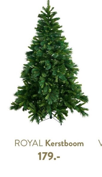 Casa Royal kerstboom aanbieding