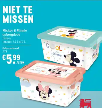 Disney Mickey & Minnie opbergdoos