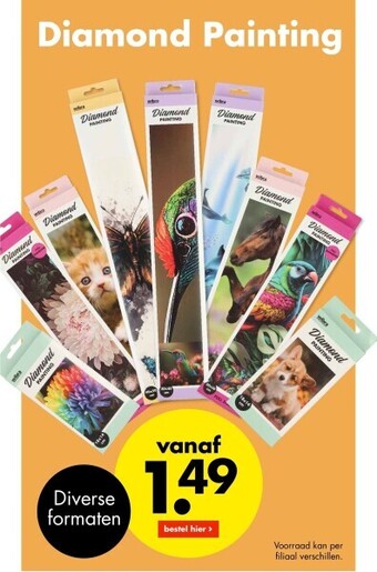 Wibra Diamond painting aanbieding