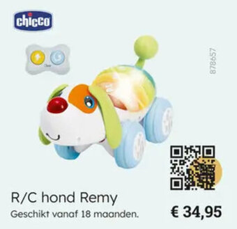 R/C hond Remy