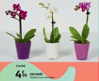 Auchan ORCHIDÉE aanbieding