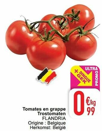 Cora Tomates en grappe trostomaten flandria aanbieding