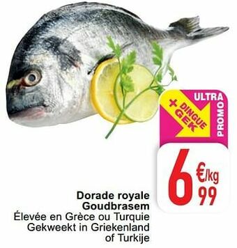 Cora Dorade royale goudbrasem aanbieding