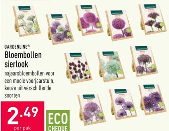 ALDI Gardenline Bloembollen sierlook aanbieding