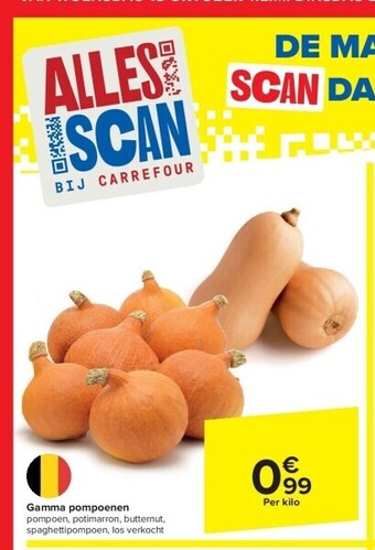 Carrefour Gamma pompoenen aanbieding