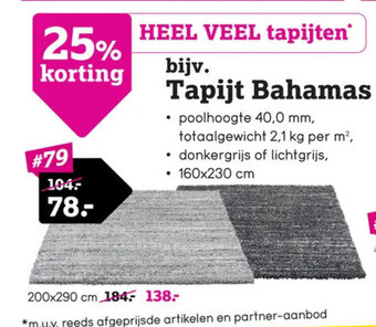 Leen Bakker Tapijt Bahamas aanbieding