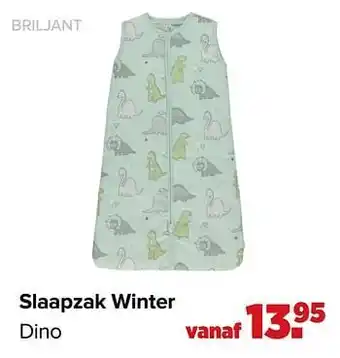 Slaapzak winter dino