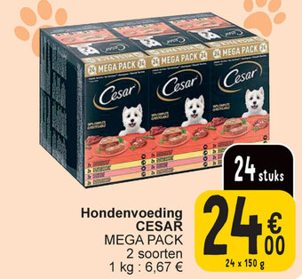Cora Hondenvoeding CESAR MEGA PACK aanbieding