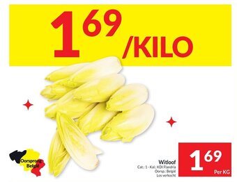 Intermarché Witloof aanbieding