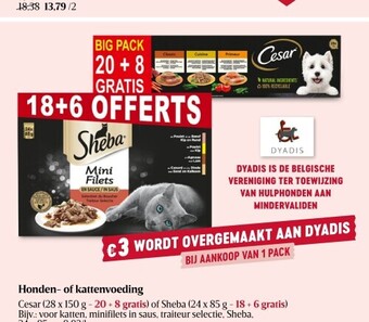 Delhaize Honden- of kattenvoeding aanbieding