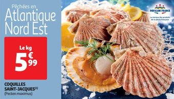 Auchan COQUILLES SAINT-JACQUES aanbieding