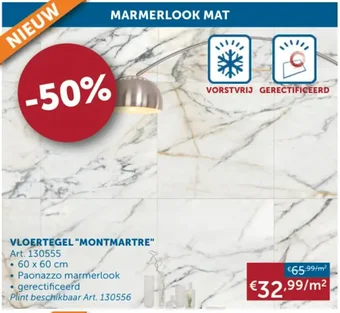 Zelfbouwmarkt VLOERTEGEL "MONTMARTRE" 60 x 60 cm aanbieding