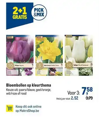 Bloembollen Op Kleurthema