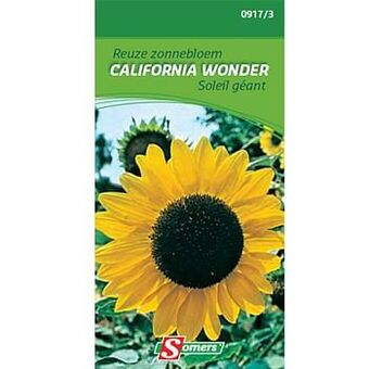 Brico Somers zaad pakket reuze zonnebloem ’Californie wonder’ aanbieding