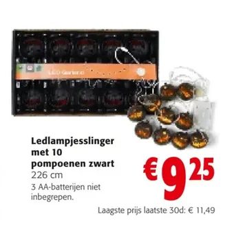 Colruyt Ledlampjesslinger met 10 pompoenen zwart 226 cm aanbieding
