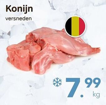 Bon Ap Konijn aanbieding