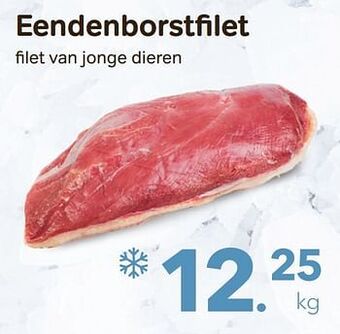 Eendenborstfilet